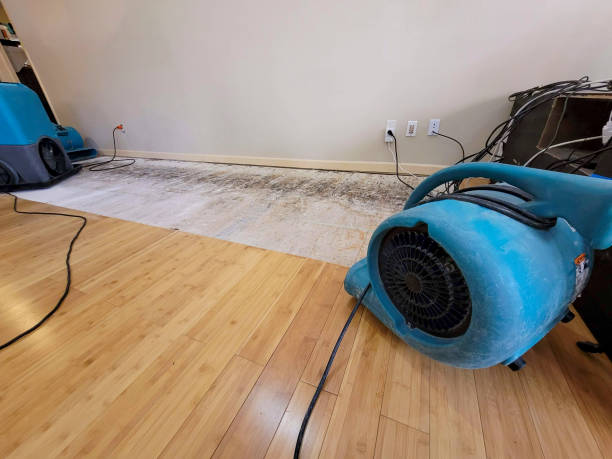 Professional Structural Drying technician working in Rolesville, NC